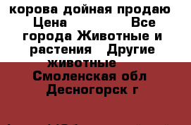 корова дойная продаю › Цена ­ 100 000 - Все города Животные и растения » Другие животные   . Смоленская обл.,Десногорск г.